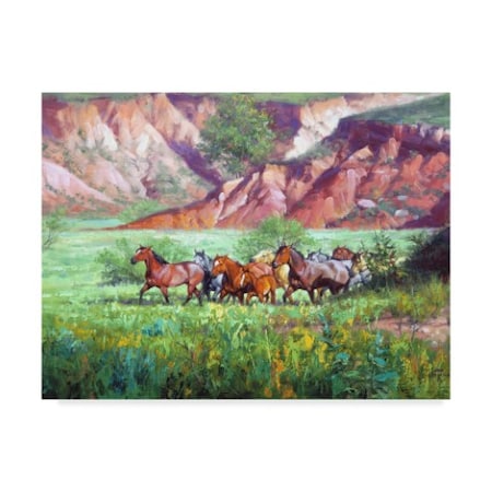 Jack Sorenson 'On The Canyon Floor' Canvas Art,14x19